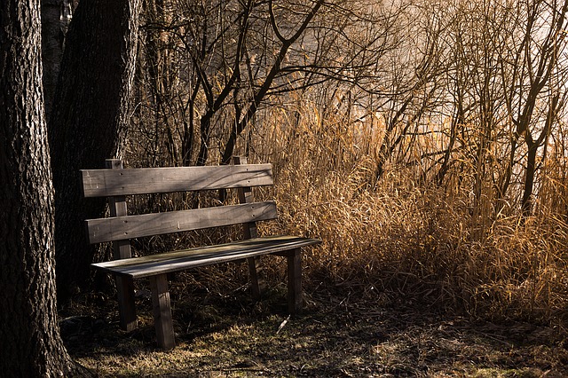 bench-1190768_640
